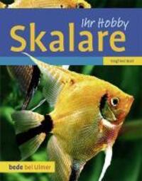 Cover: 9783800169399 | Skalare | Siegfried Brall | Buch | bede bei Ulmer | Deutsch | 2010