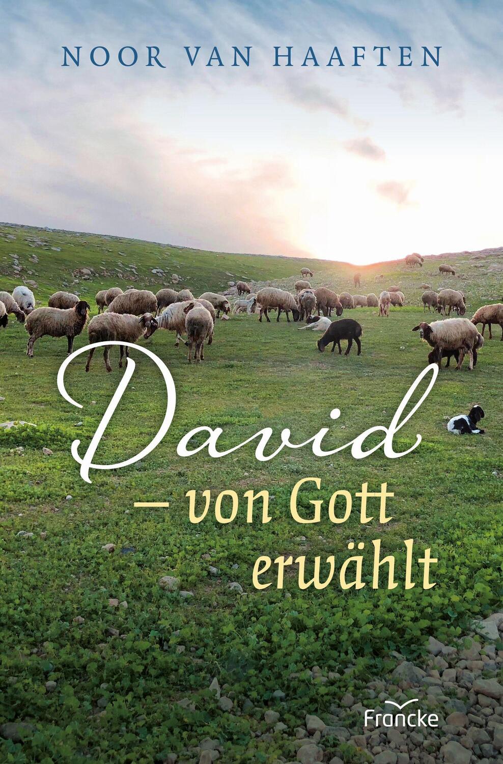 Cover: 9783963622298 | David - von Gott erwählt | Noor van Haaften | Taschenbuch | Deutsch
