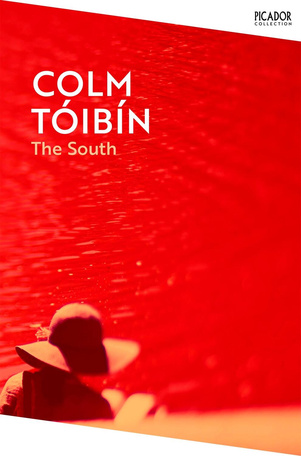 Cover: 9781035029518 | The South | Colm Tóibín | Taschenbuch | Picador Collection | 256 S.