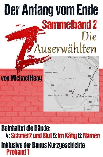 Cover: 9783748577331 | Z: Die Auserwählten (Sammelband 2) | Der Anfang vom Ende | Haag | Buch