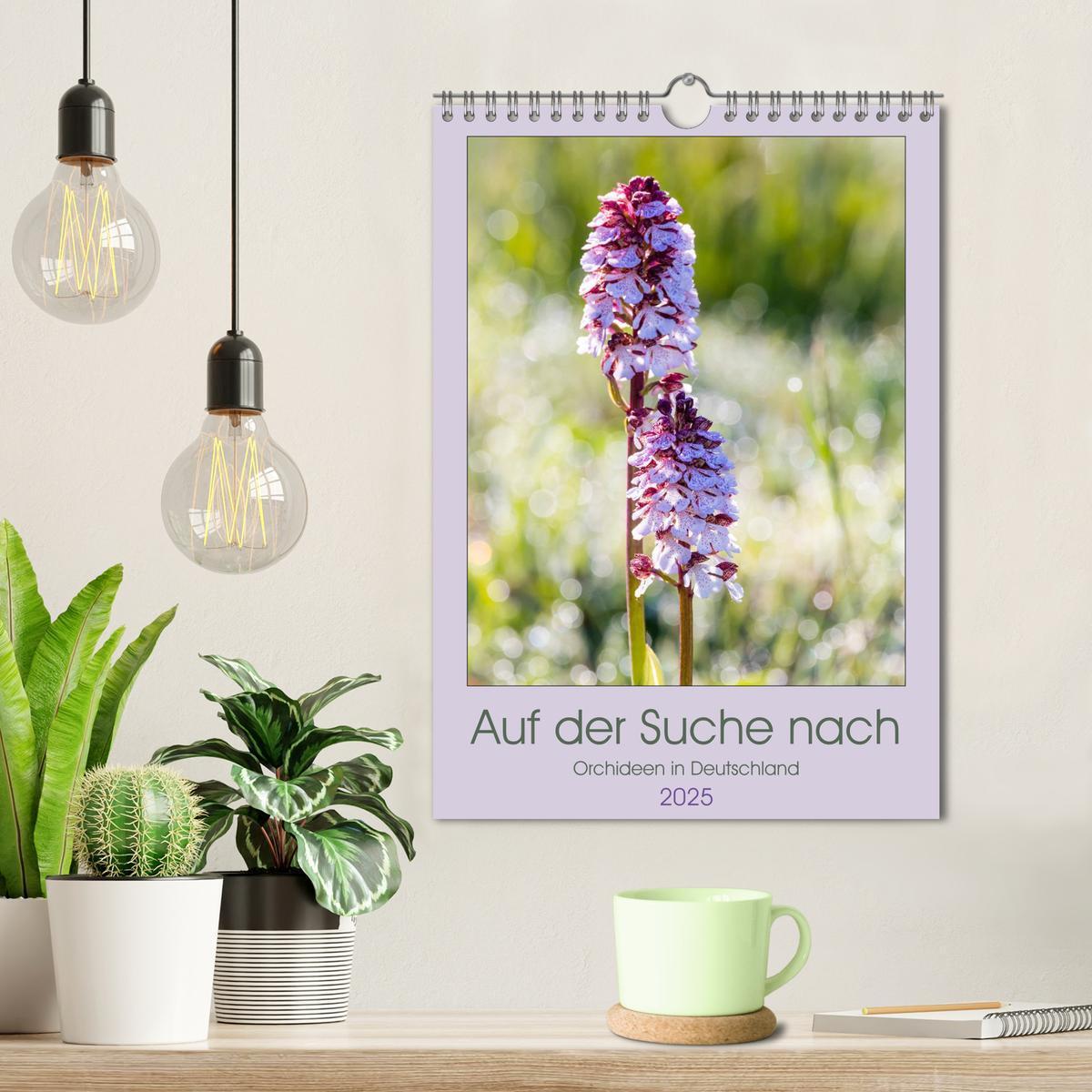 Bild: 9783435942473 | Auf der Suche nach Orchideen in Deutschland (Wandkalender 2025 DIN...