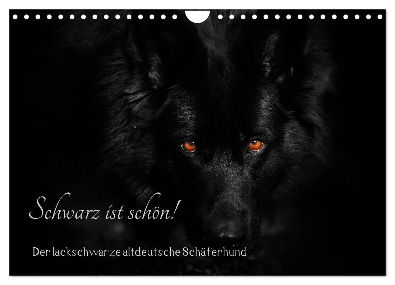 Cover: 9783383361364 | Schwarz ist schön! Der lackschwarze altdeutsche Schäferhund...