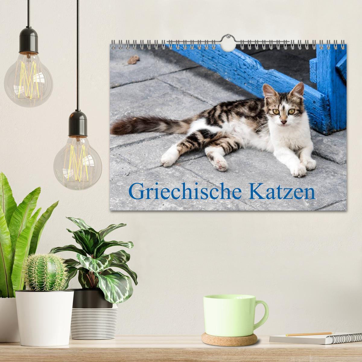 Bild: 9783435759712 | Griechische Katzen (Wandkalender 2025 DIN A4 quer), CALVENDO...