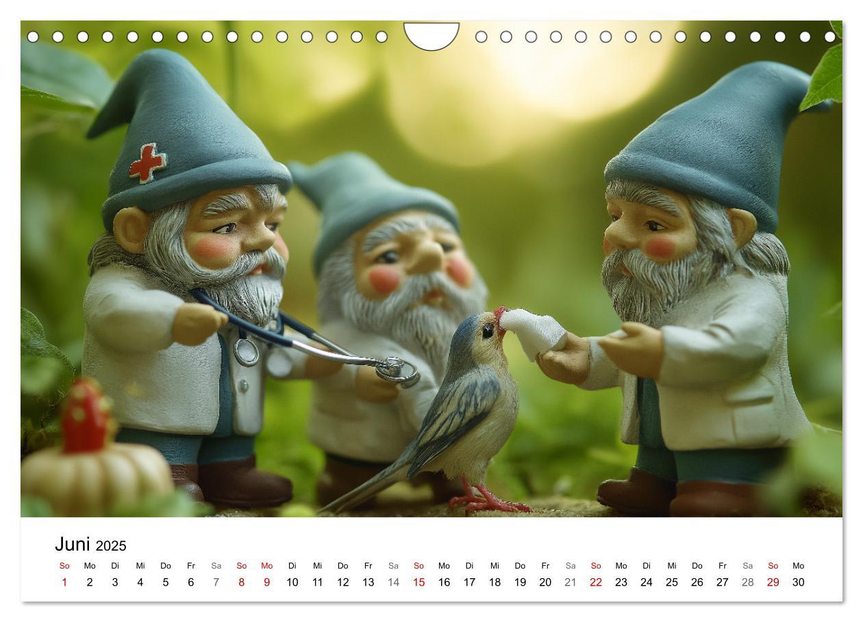 Bild: 9783457204108 | Berufe der Gartenzwerge (Wandkalender 2025 DIN A4 quer), CALVENDO...