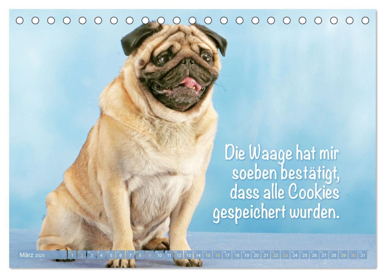 Bild: 9783457167267 | Lächeln mit Mops (Tischkalender 2025 DIN A5 quer), CALVENDO...