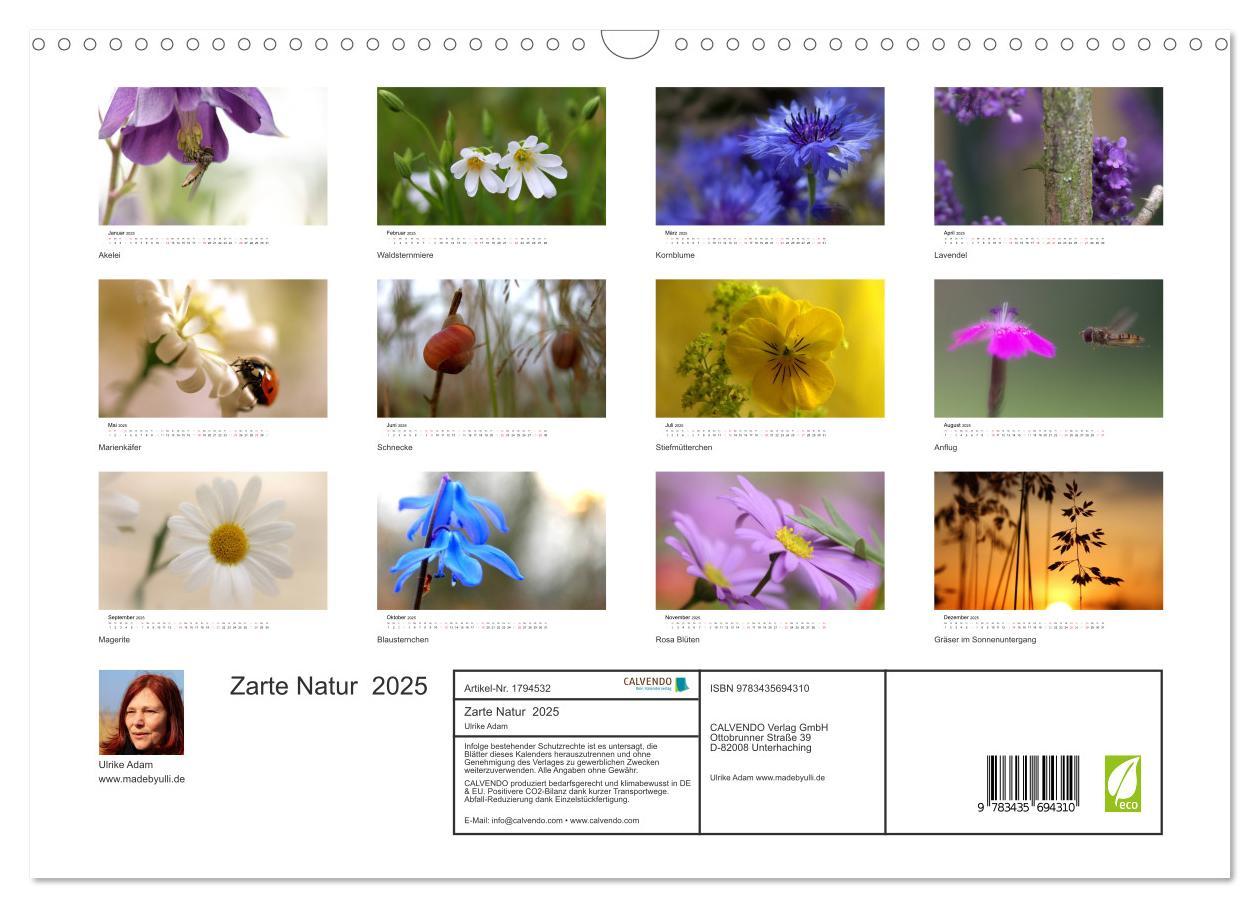 Bild: 9783435694310 | Zarte Natur 2025 (Wandkalender 2025 DIN A3 quer), CALVENDO...