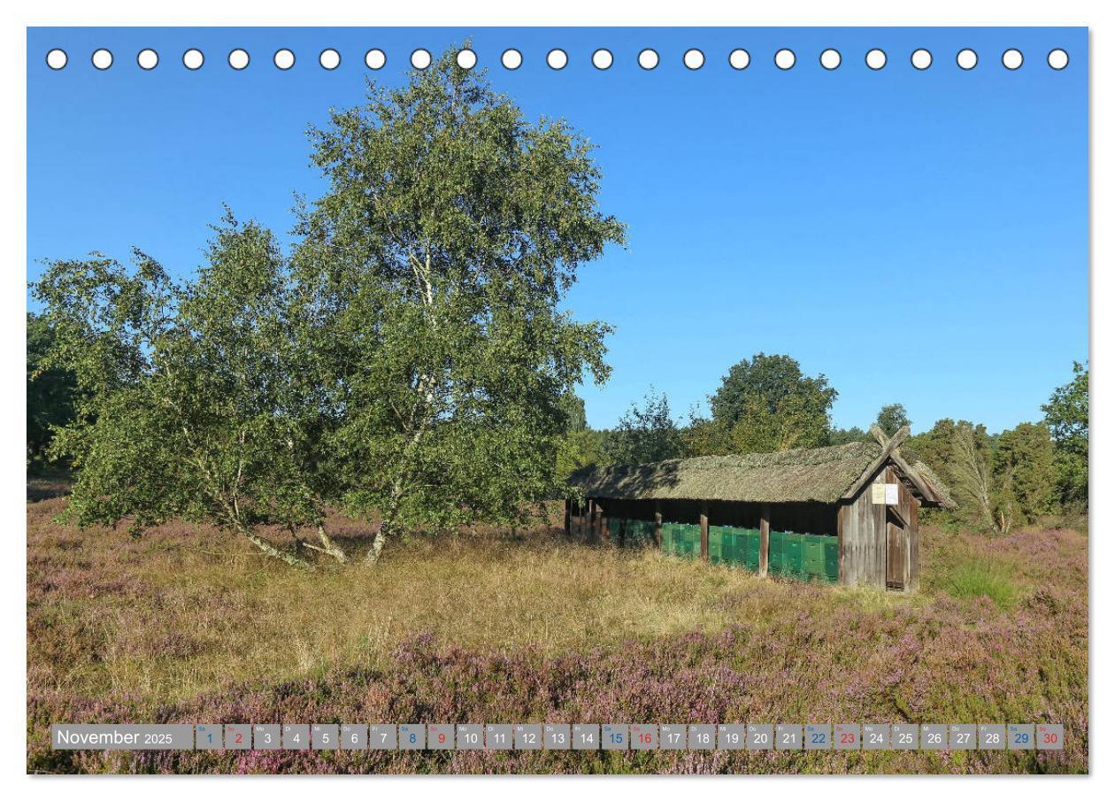 Bild: 9783435457632 | Lüneburger Heide - Faszinierend schön (Tischkalender 2025 DIN A5...