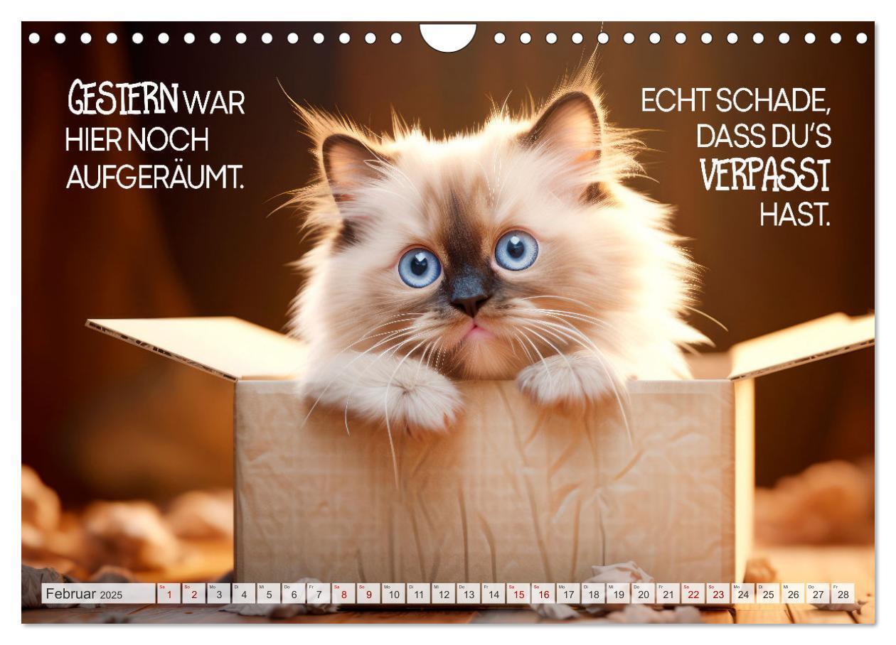 Bild: 9783383771910 | KATZEN-IRONIE Lach mal wieder (Wandkalender 2025 DIN A4 quer),...