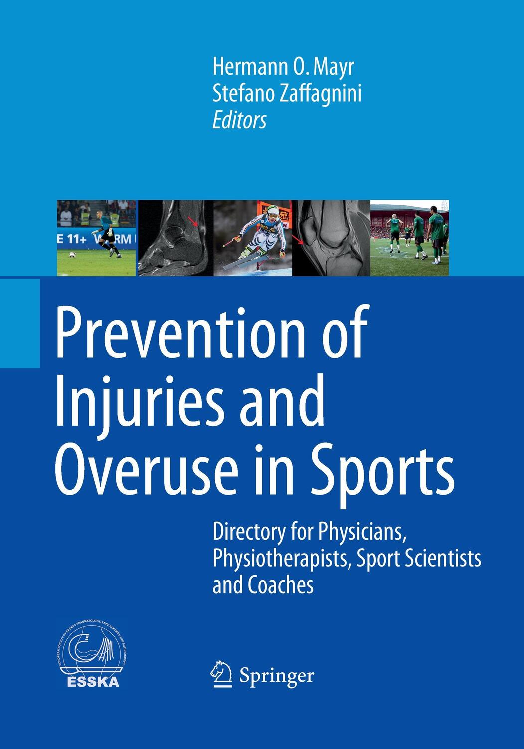Cover: 9783662516041 | Prevention of Injuries and Overuse in Sports | Zaffagnini (u. a.)