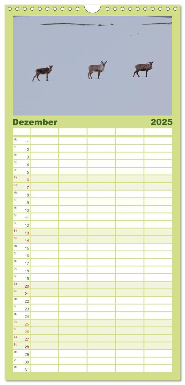 Bild: 9783457121399 | Familienplaner 2025 - Tierkalender 2025 mit 5 Spalten...