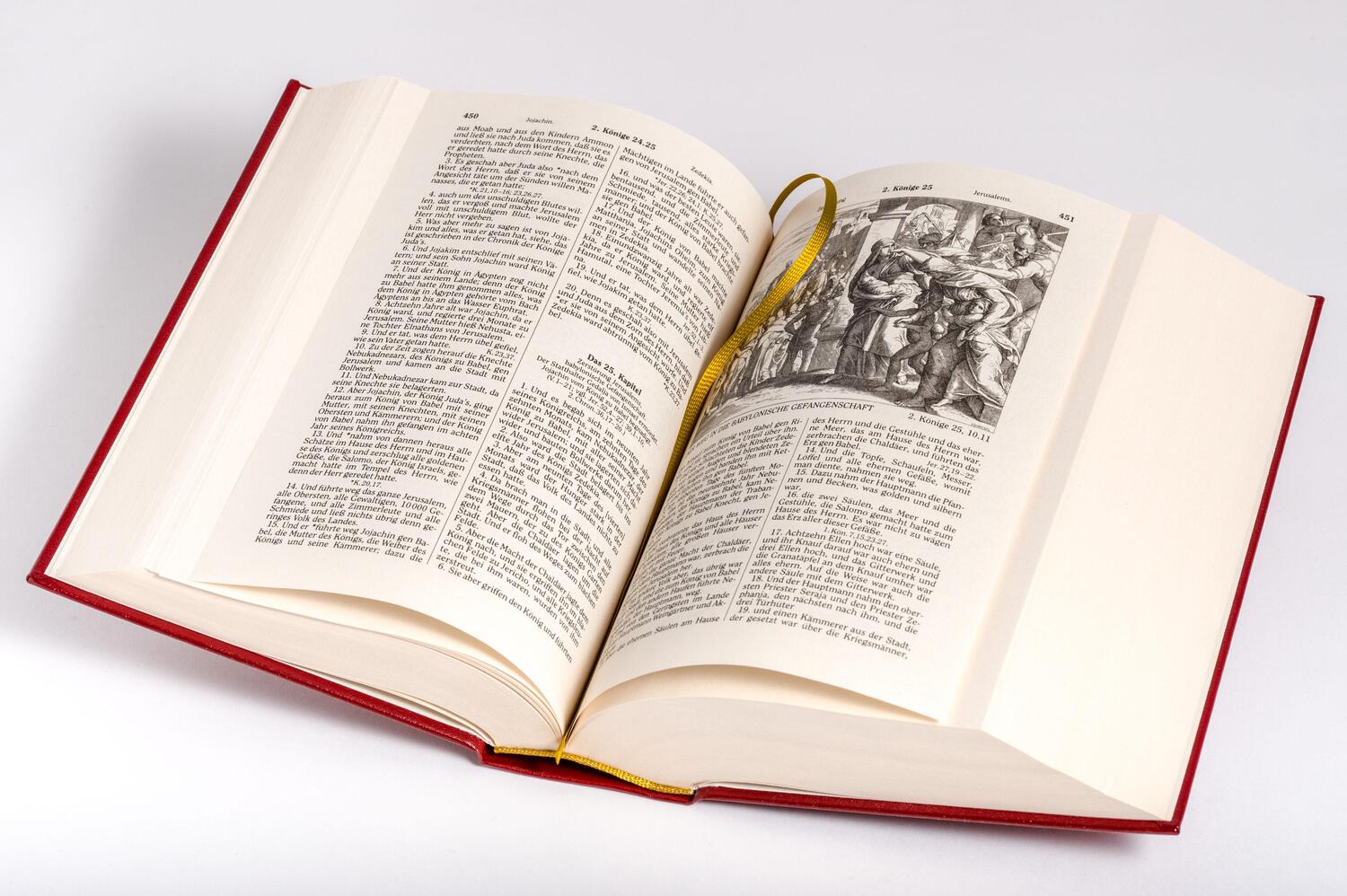 Bild: 9783730607565 | Die Bibel (Geschenkausgabe, Cabra-Leder) | Martin Luther | Buch | 2019