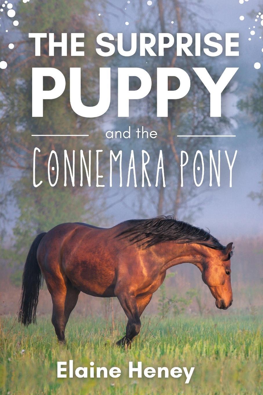 Cover: 9781915542243 | The Surprise Puppy and the Connemara Pony - The Coral Cove Horses...