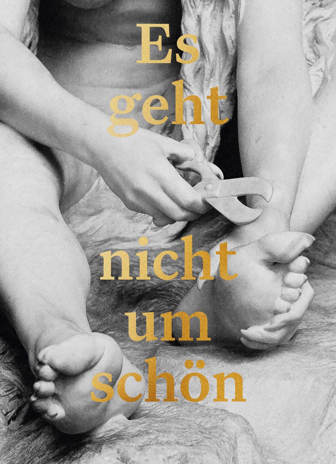 Cover: 9783701736065 | Es geht nicht um schön | Barbara Beer | Taschenbuch | 176 S. | Deutsch