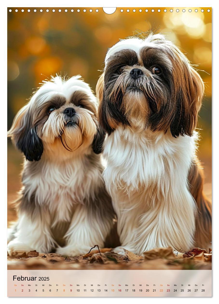 Bild: 9783383765384 | Shih Tzu - immer im Mittelpunkt (Wandkalender 2025 DIN A3 hoch),...