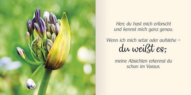 Bild: 9783863382032 | Ich schenke dir Psalm 139 | Du kennst und umgibst mich | Buch | 32 S.