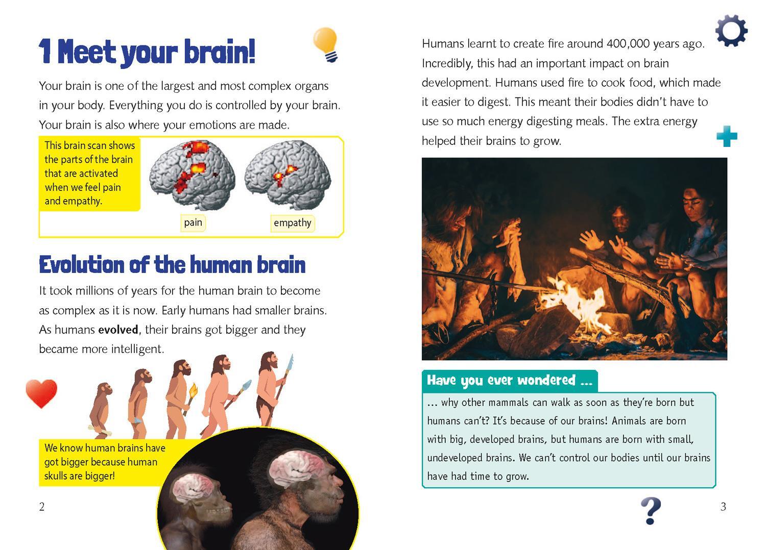 Bild: 9780008553555 | Meet Your Brain | Band 15/Emerald | Kathryn Kendall Boucher | Buch