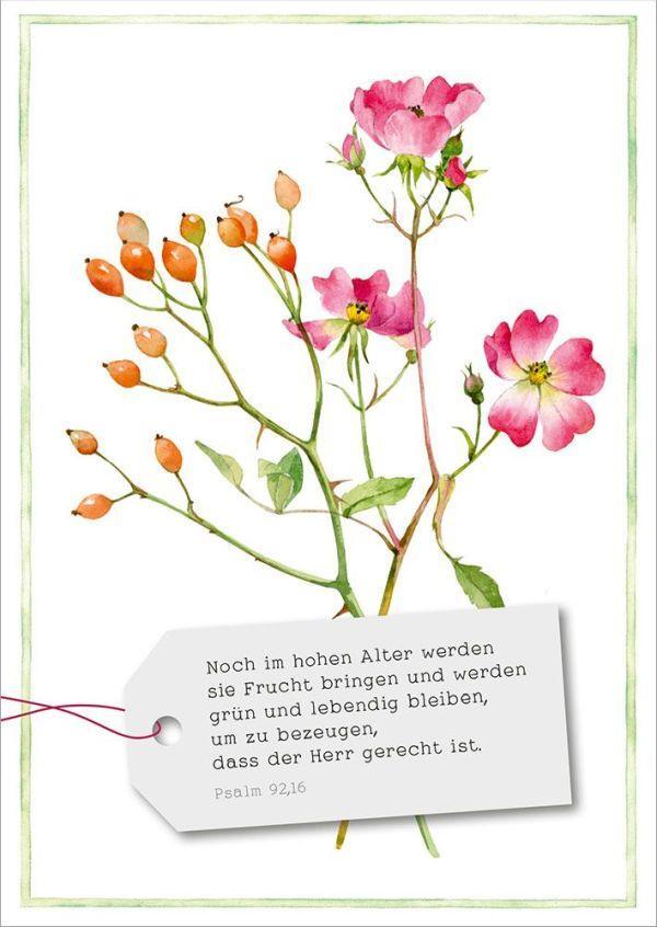 Bild: 4029856840857 | GartenGlück - Postkartenset | 18 Postkarten mit Bibelversen | Stück