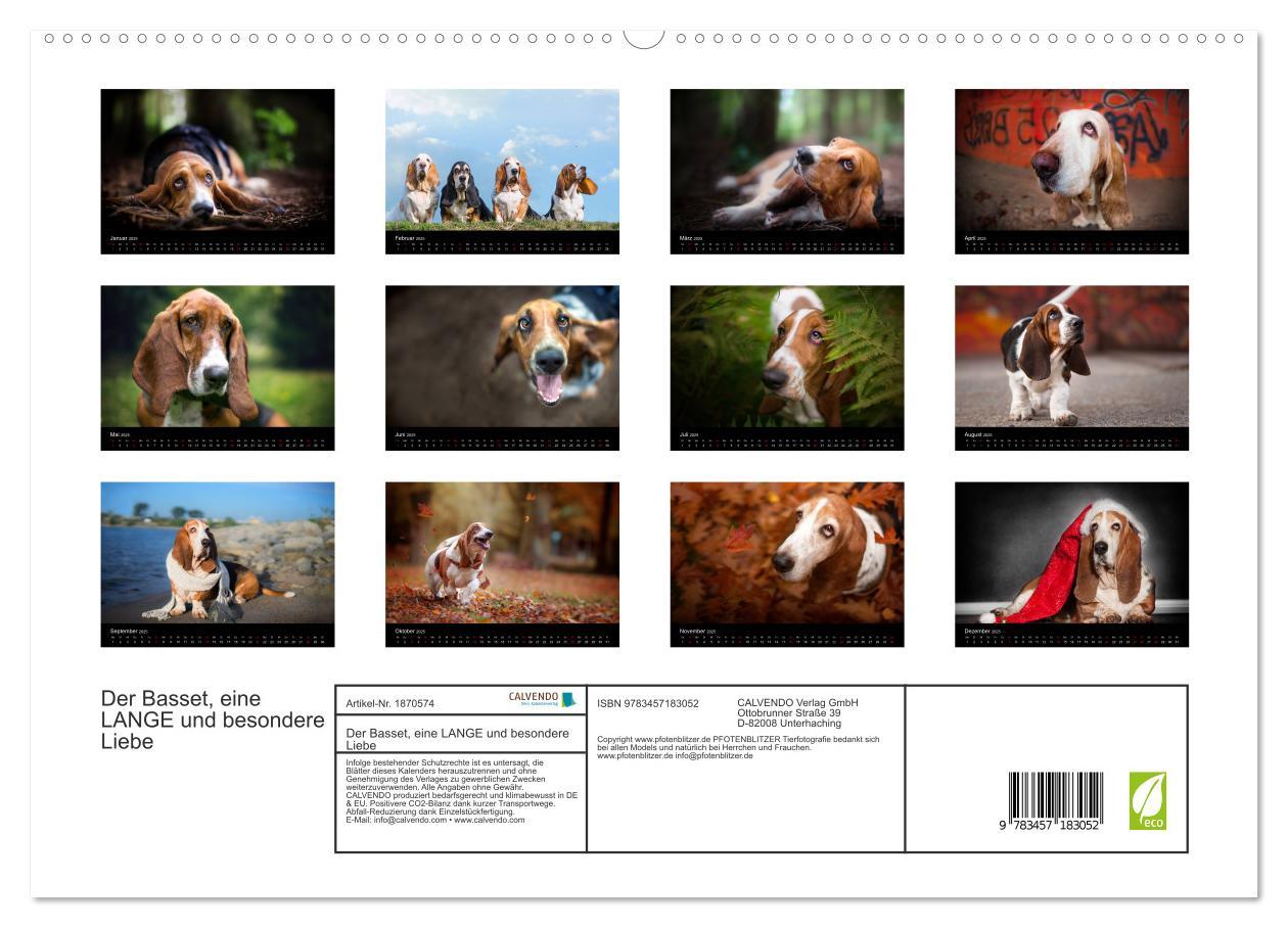 Bild: 9783457183052 | Der Basset, eine LANGE und besondere Liebe (hochwertiger Premium...