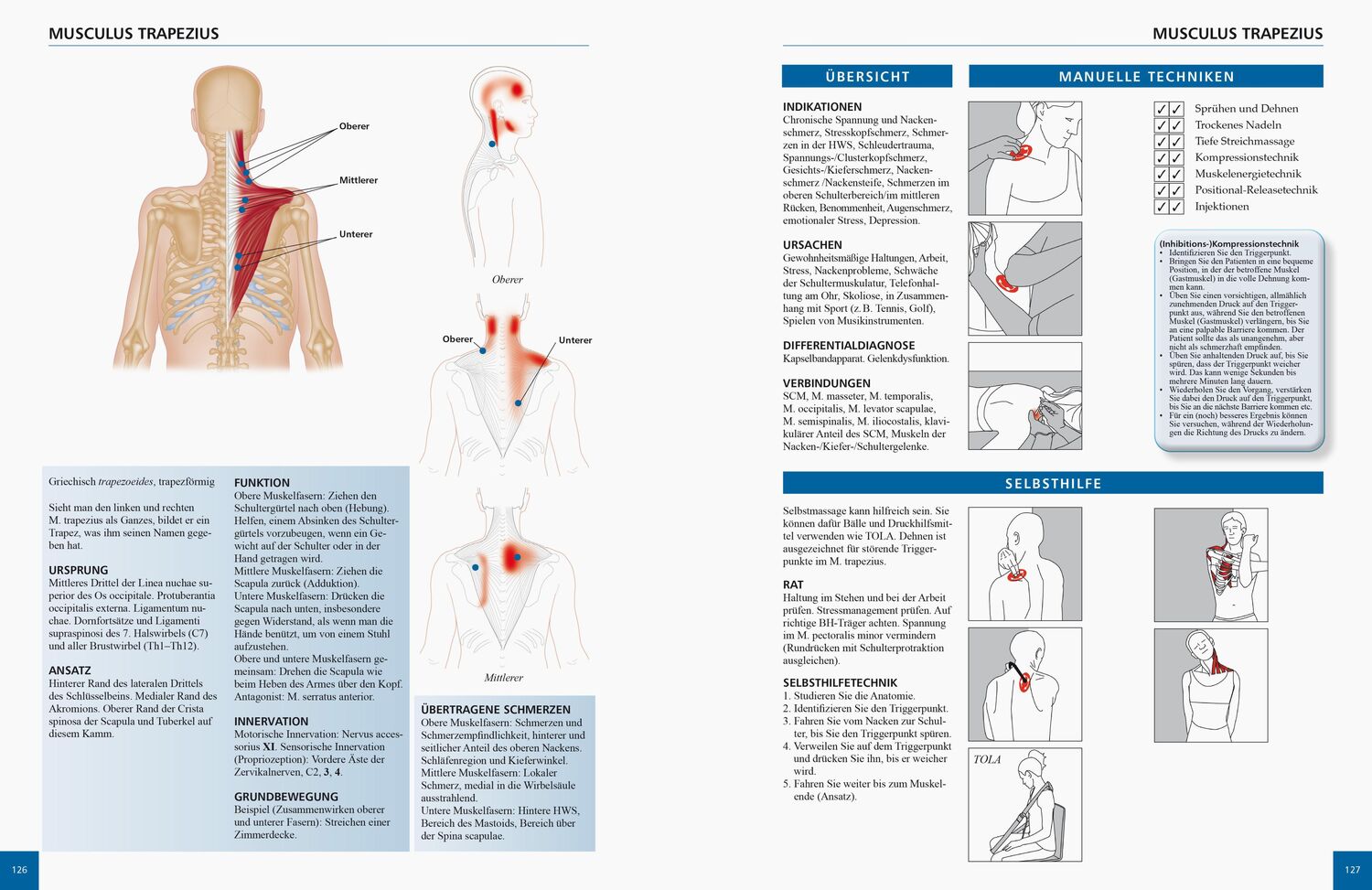 Bild: 9783767911055 | Referenzbuch Triggerpunkt Behandlung | Simeon Niel-Asher | Taschenbuch