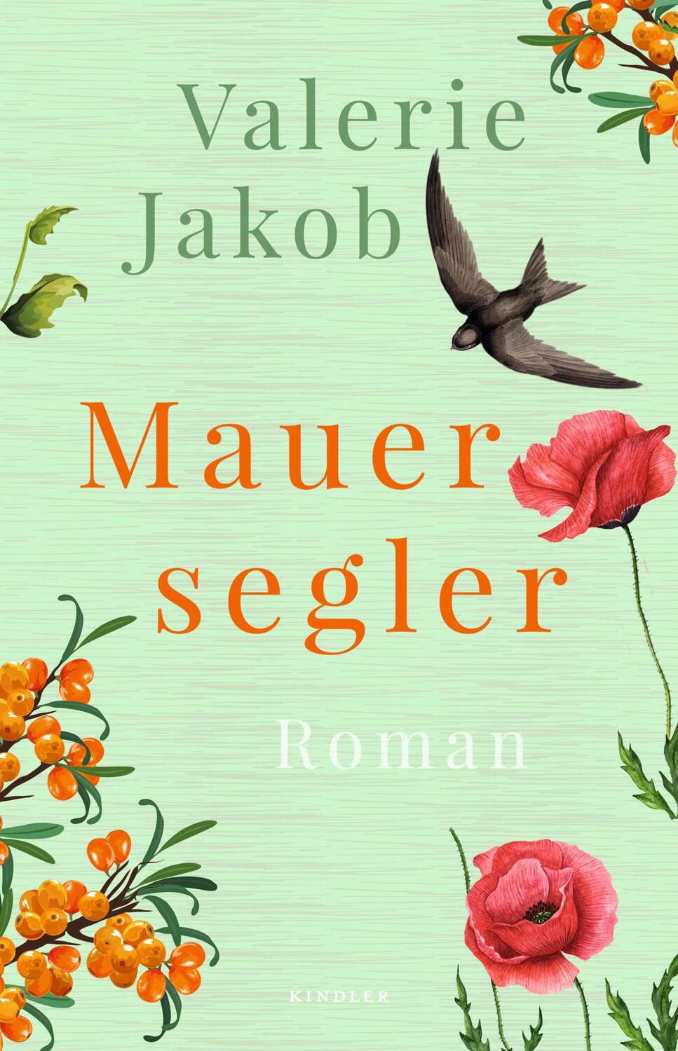 Cover: 9783463407173 | Mauersegler | Valerie Jakob | Taschenbuch | Deutsch | 2021