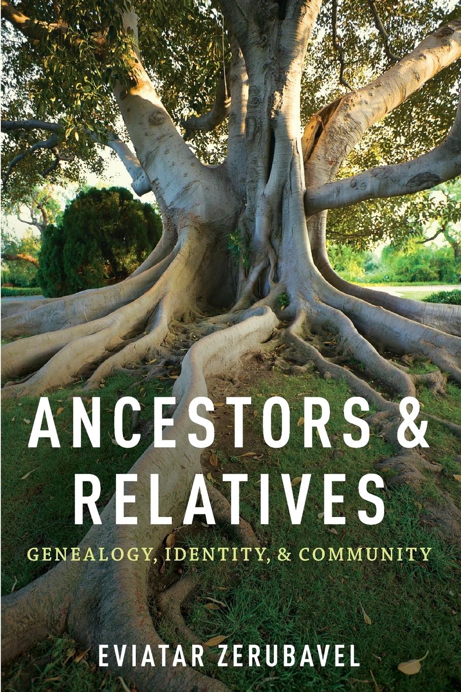 Cover: 9780199336043 | Ancestors and Relatives | Genealogy, Identity, and Community | Buch