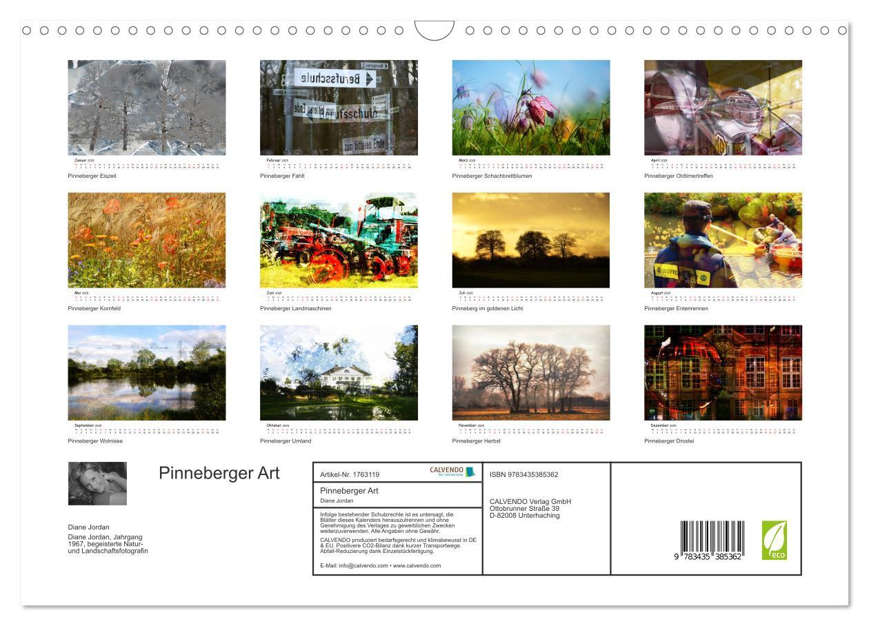 Bild: 9783435385362 | Pinneberger Art (Wandkalender 2025 DIN A3 quer), CALVENDO...