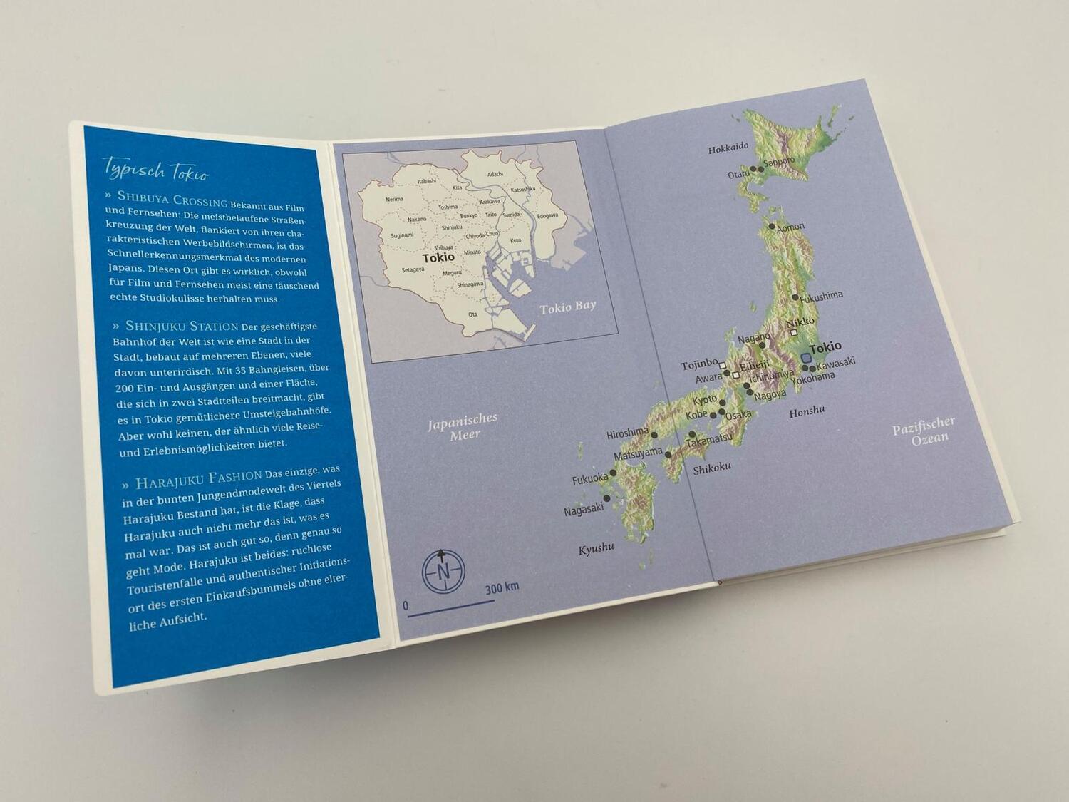 Bild: 9783492277778 | Gebrauchsanweisung für Tokio und Japan | Andreas Neuenkirchen | Buch