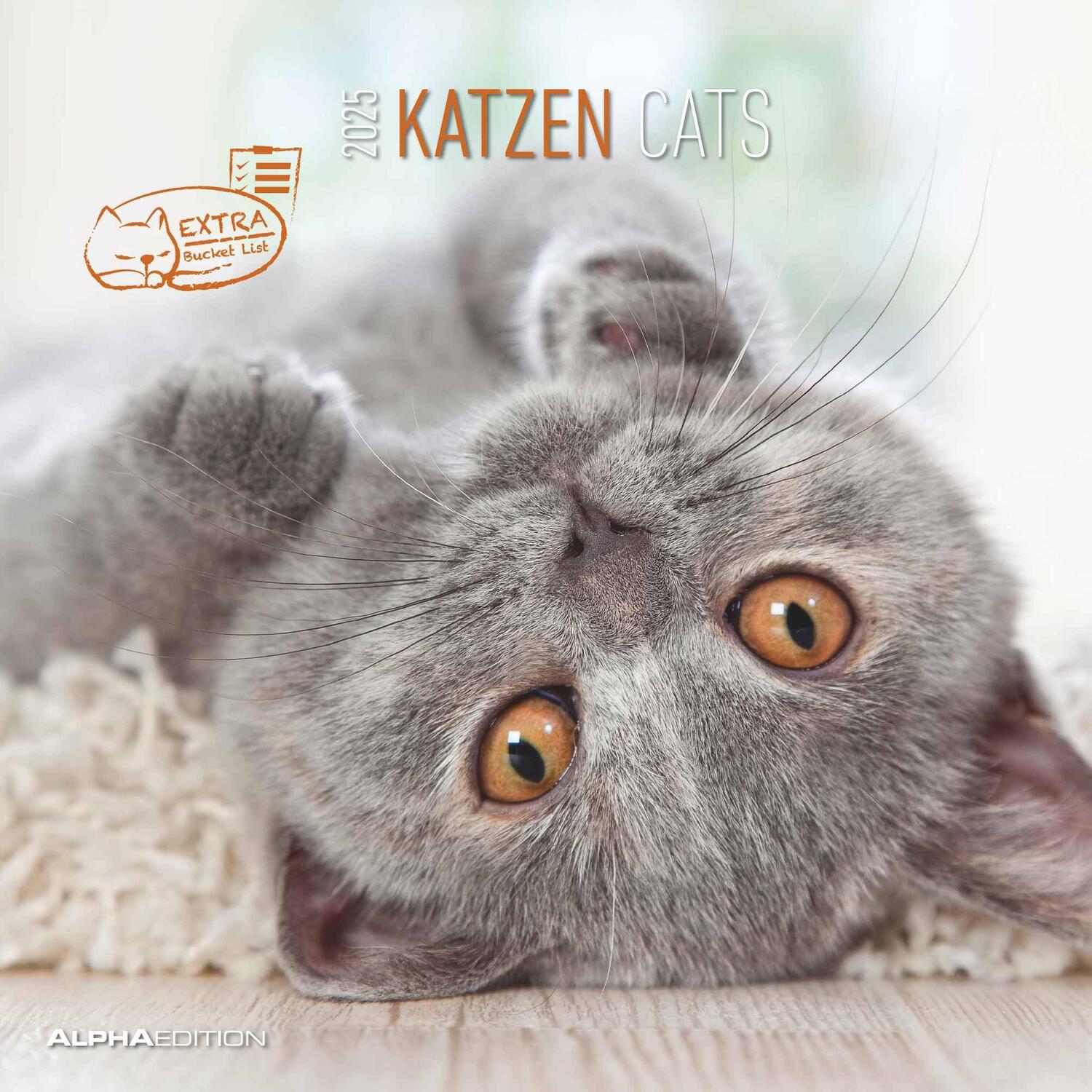 Cover: 4251732340674 | Katzen 2025 - Broschürenkalender 30x30 cm (30x60 geöffnet) -...