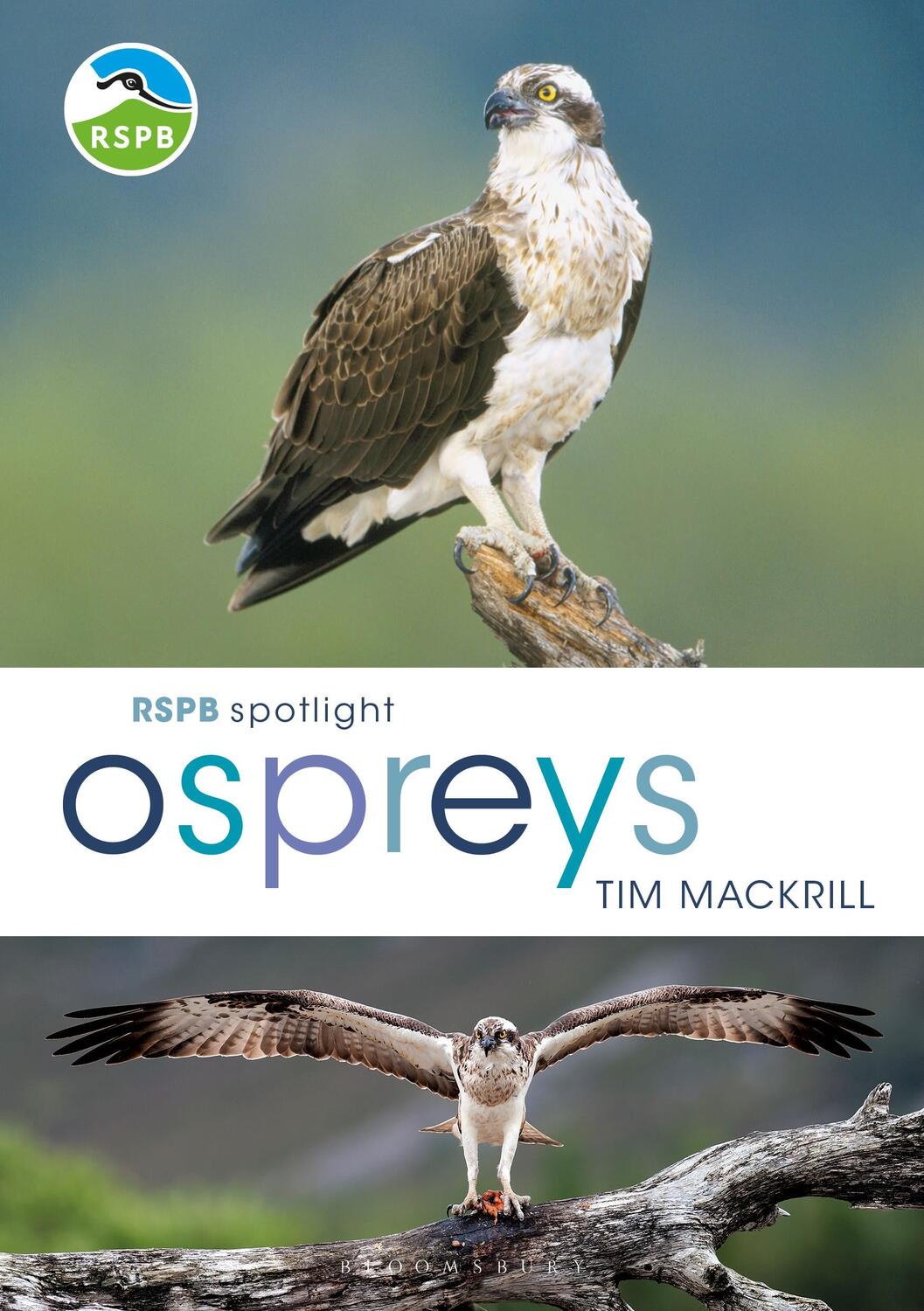 Cover: 9781472956033 | RSPB Spotlight Ospreys | Tim Mackrill | Taschenbuch | Englisch | 2019