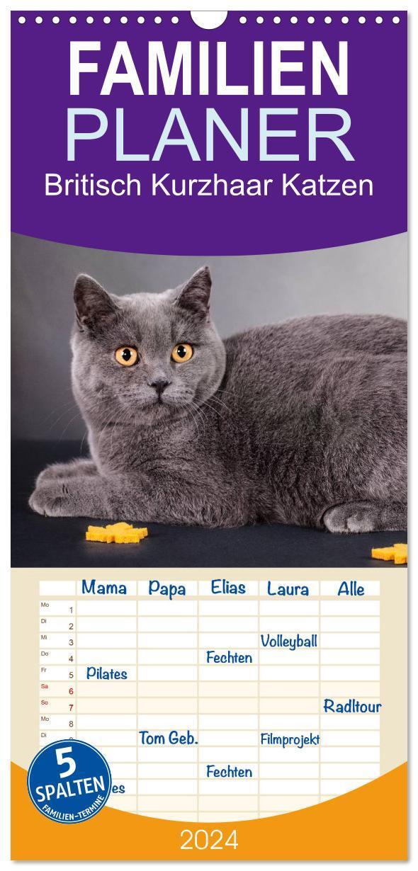 Cover: 9783383074684 | Familienplaner 2024 - Britisch Kurzhaar Katzen mit 5 Spalten...
