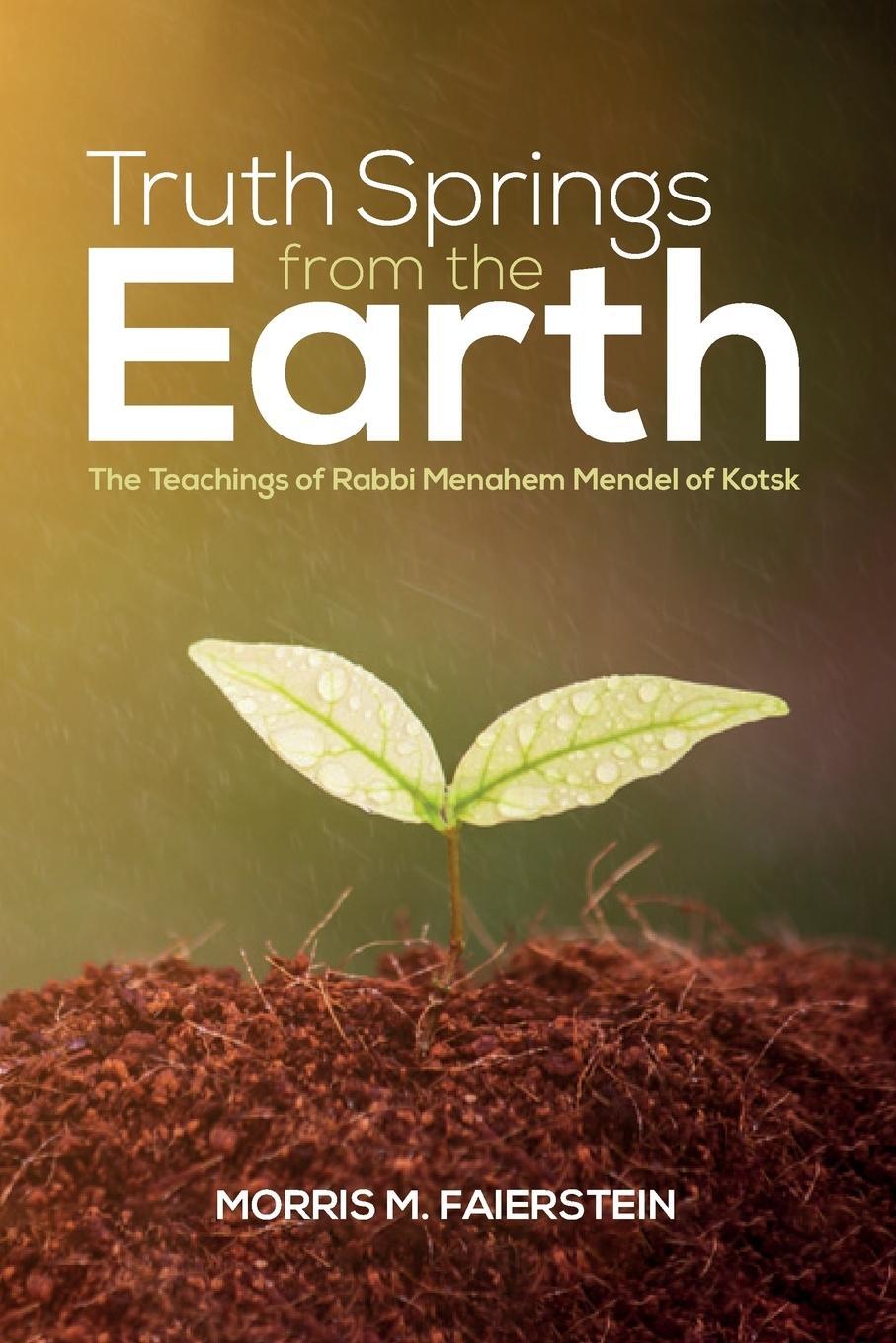 Cover: 9781532637254 | Truth Springs from the Earth | Morris M. Faierstein | Taschenbuch