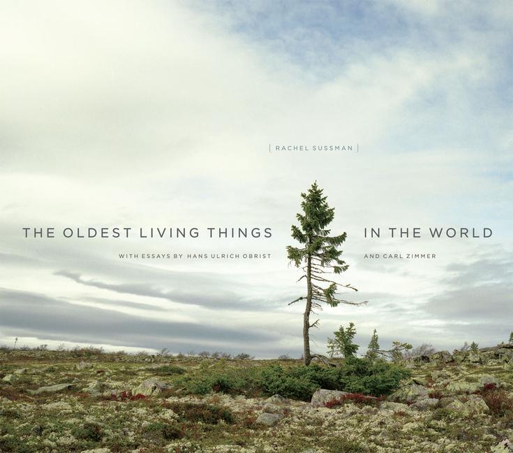 Cover: 9780226057507 | The Oldest Living Things in the World | Rachel Sussman | Buch | 2014
