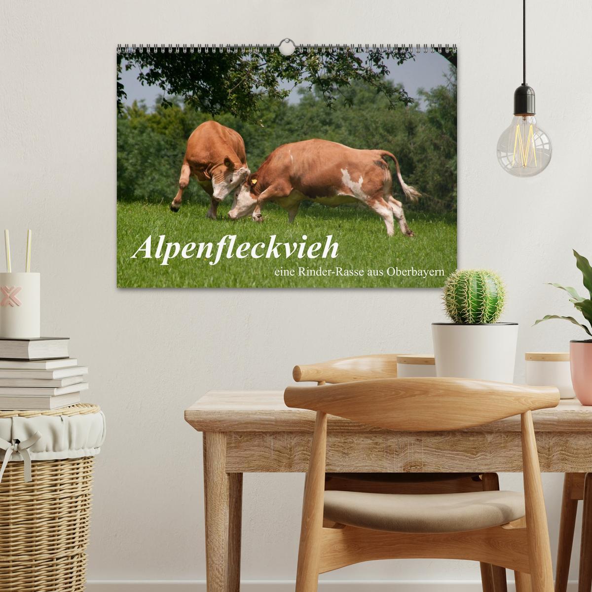 Bild: 9783435733392 | Alpenfleckvieh (Wandkalender 2025 DIN A3 quer), CALVENDO...