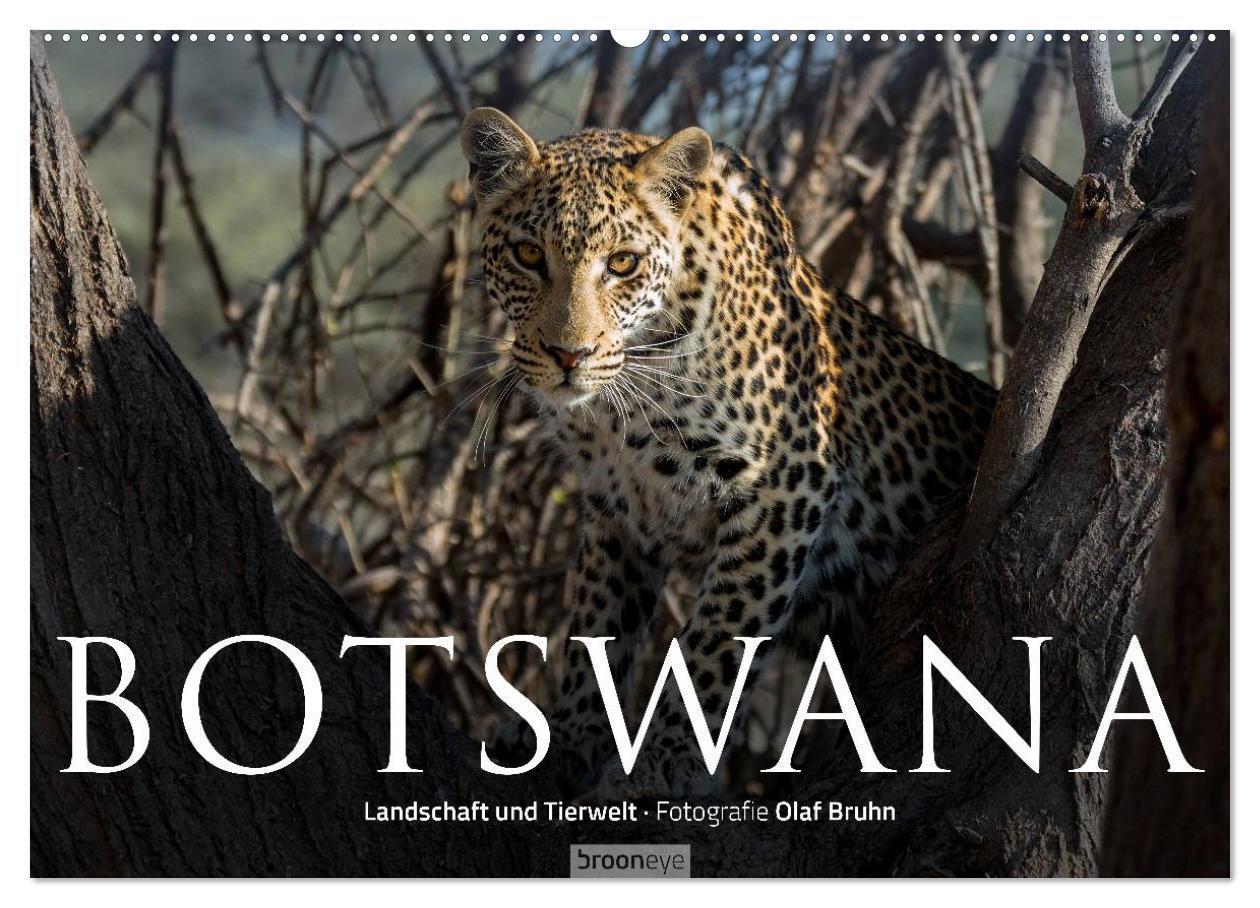 Cover: 9783383395406 | Botswana ¿ Landschaft und Tierwelt (Wandkalender 2024 DIN A2 quer),...