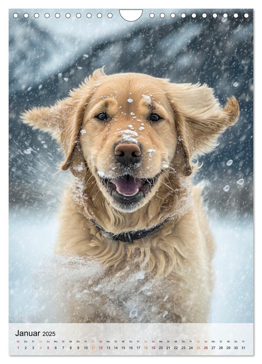 Bild: 9783435881246 | Golden Retriever - ein Hund für die Familie (Wandkalender 2025 DIN...