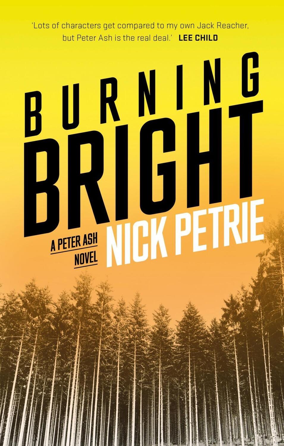 Cover: 9781788542494 | Burning Bright | Nick Petrie | Taschenbuch | Ash | Englisch | 2018