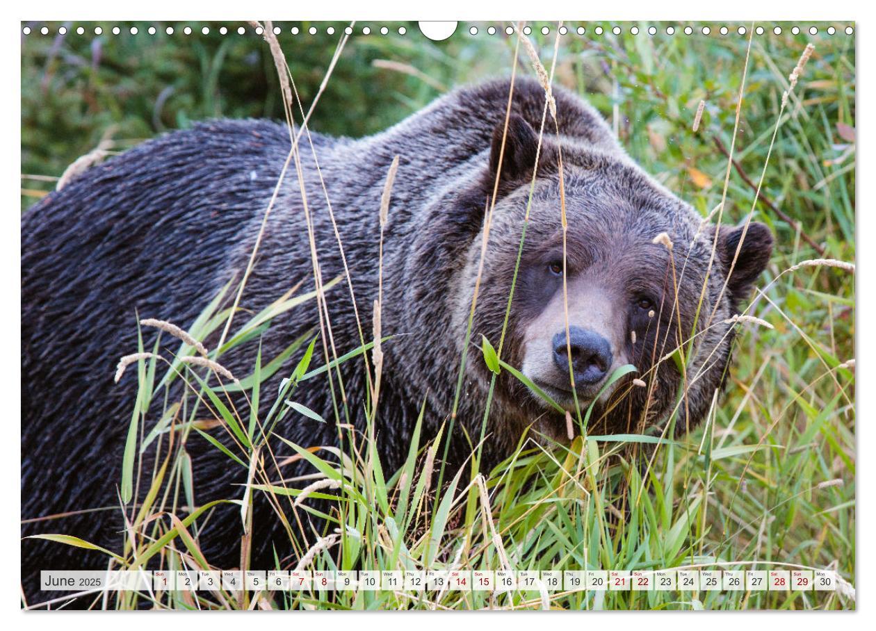 Bild: 9781325836840 | Canada - Landscapes from Banff and Jasper National parks (Wall...