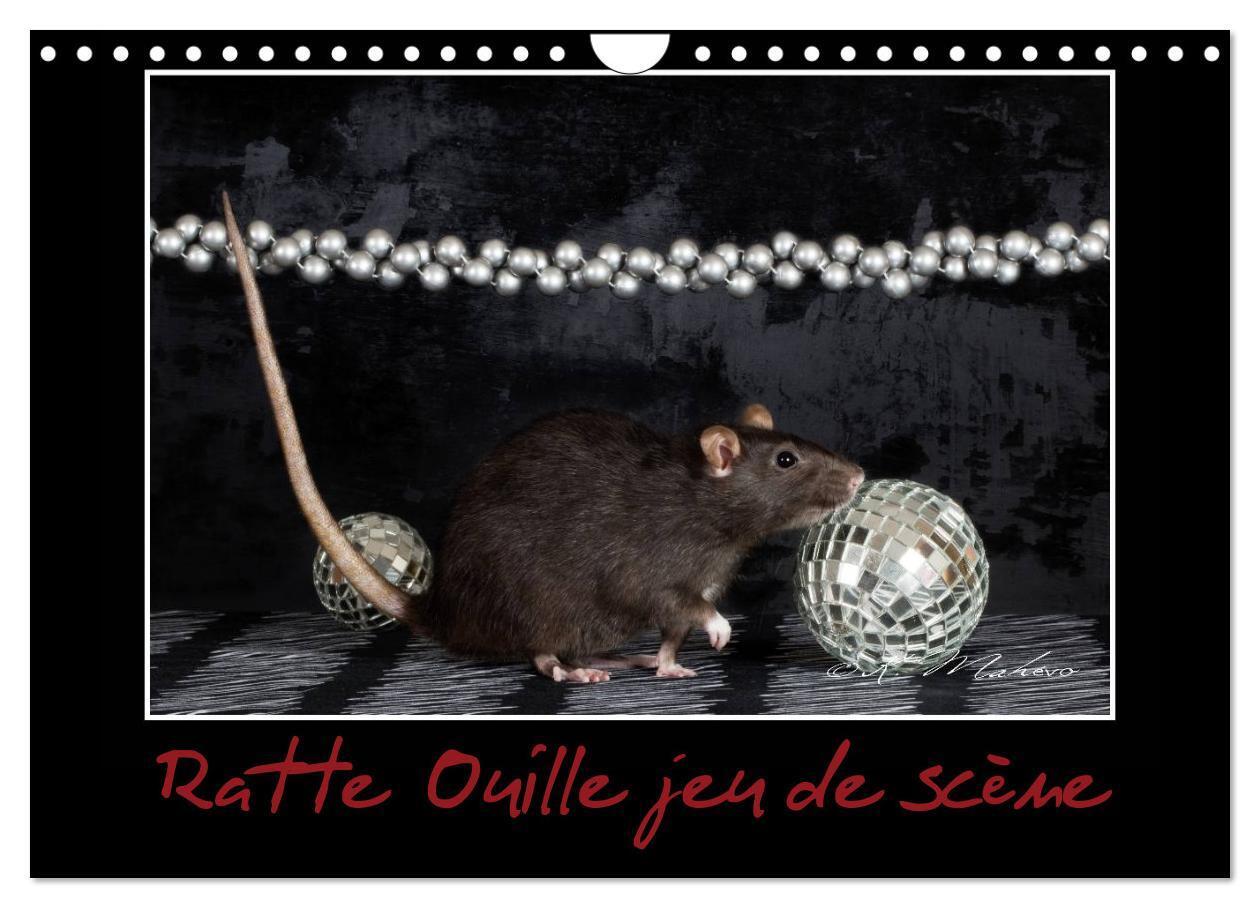 Cover: 9781325885404 | Ratte Ouille jeu de scène (Calendrier mural 2024 DIN A4 vertical),...
