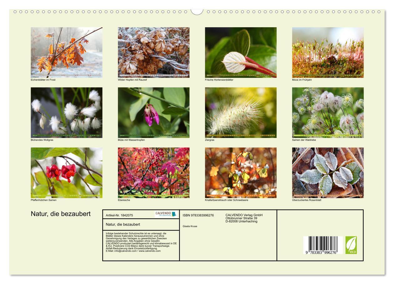 Bild: 9783383996276 | Natur, die bezaubert (Wandkalender 2025 DIN A2 quer), CALVENDO...