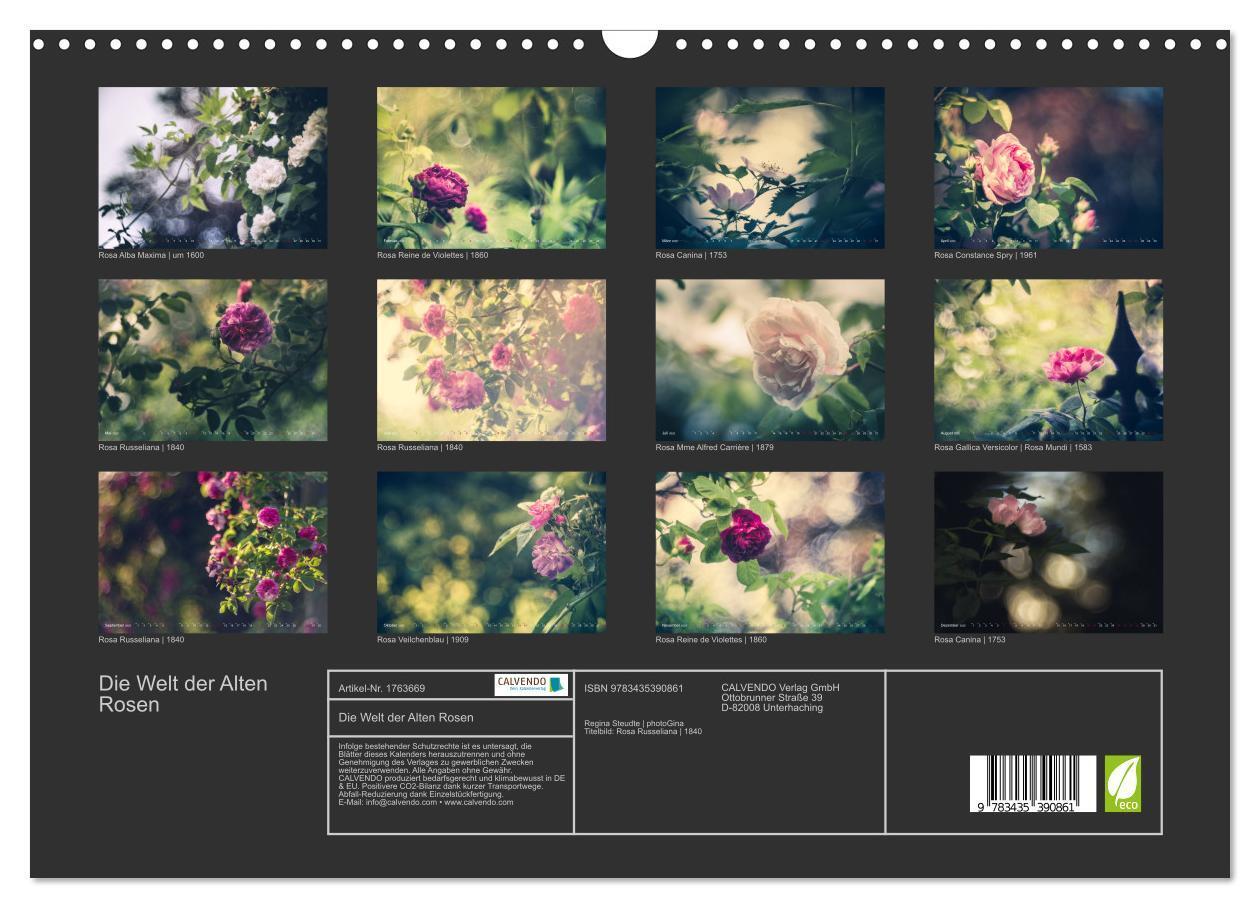 Bild: 9783435390861 | Die Welt der Alten Rosen (Wandkalender 2025 DIN A3 quer), CALVENDO...