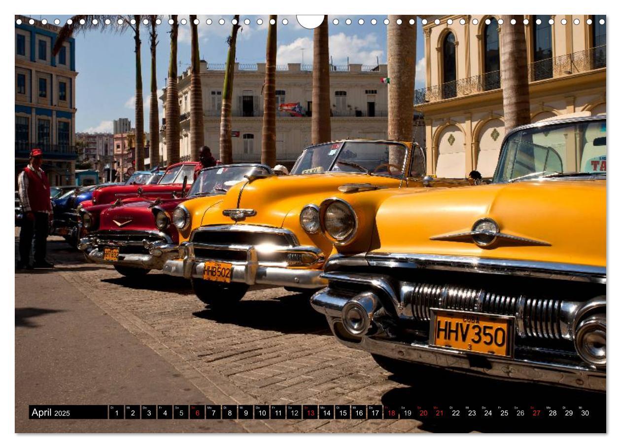 Bild: 9783435818365 | Classic Cars of Cuba (Wandkalender 2025 DIN A3 quer), CALVENDO...