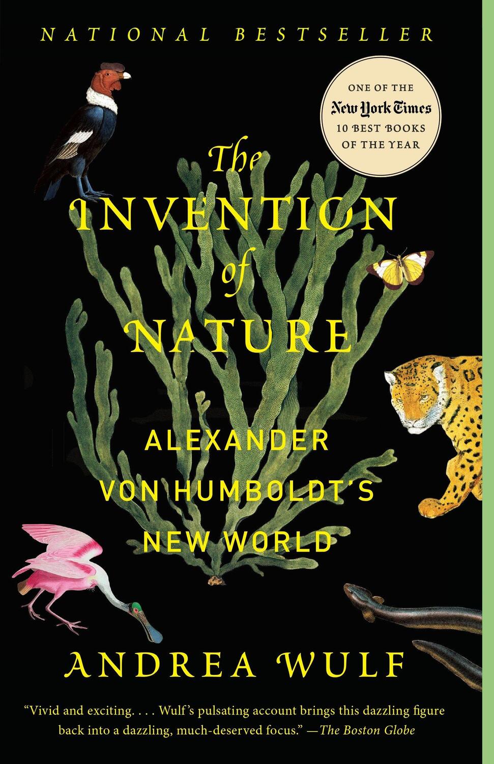 Cover: 9780345806291 | The Invention of Nature | Alexander von Humboldt's New World | Wulf