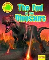 Cover: 9781788560870 | The End of the Dinosaur | Ruth Owen | Taschenbuch | Englisch | 2019