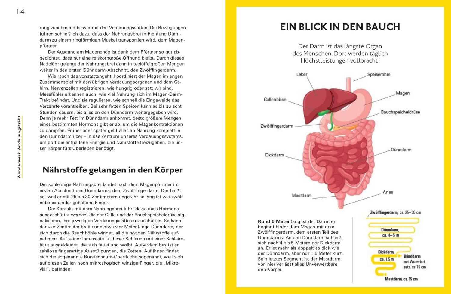 Bild: 9783747105764 | Bye bye, Reizdarm! | Eine Anleitung für mehr Wohlbefinden | Buch