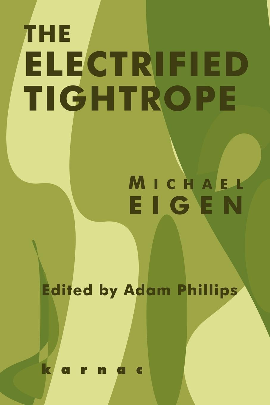 Cover: 9781855753969 | The Electrified Tightrope | Michael Eigen | Taschenbuch | Englisch