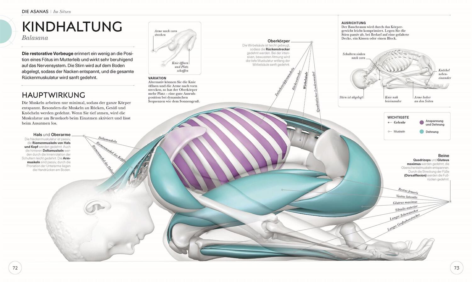Bild: 9783831037988 | Yoga verstehen | Die Anatomie der Yoga-Haltungen | Ann Swanson | Buch