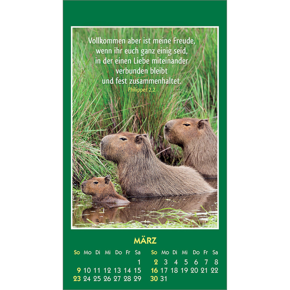 Bild: 9783754893555 | Hallo Du 2025 | Mini-Aufkleber-Kalender | Kalender | 14 S. | Deutsch