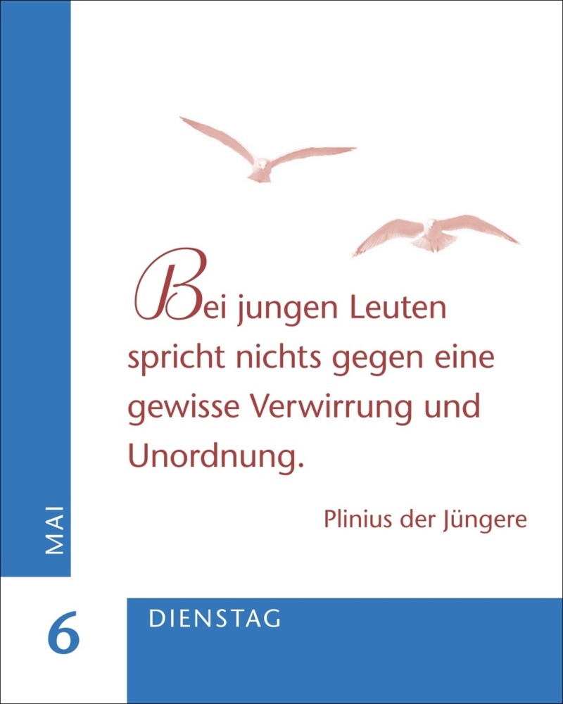 Bild: 9783840034183 | Ein Jahr der Gelassenheit Mini-Geschenkkalender 2025 | Artel | 380 S.