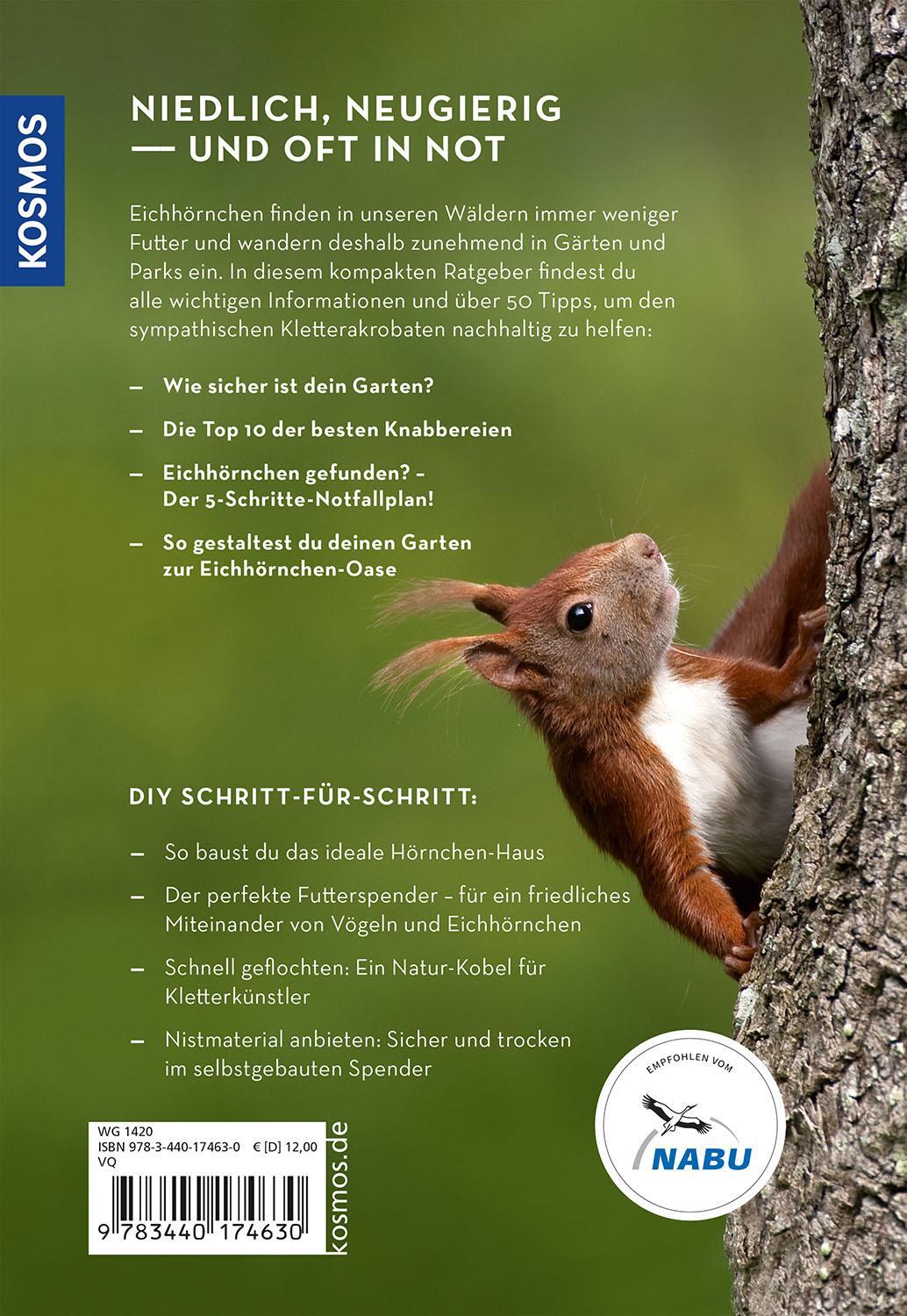 Rückseite: 9783440174630 | Mach was für Eichhörnchen | Frederike Hecker | Taschenbuch | 96 S.
