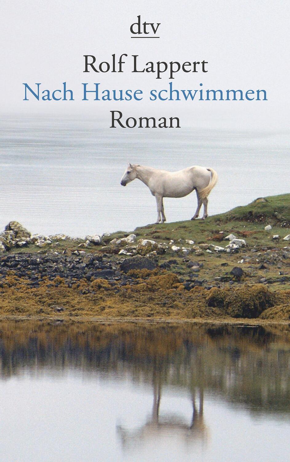 Cover: 9783423138307 | Nach Hause schwimmen | Rolf Lappert | Taschenbuch | Deutsch | 2009
